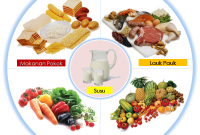 Diet Seimbang Untuk Mendukung Program Kebugaran