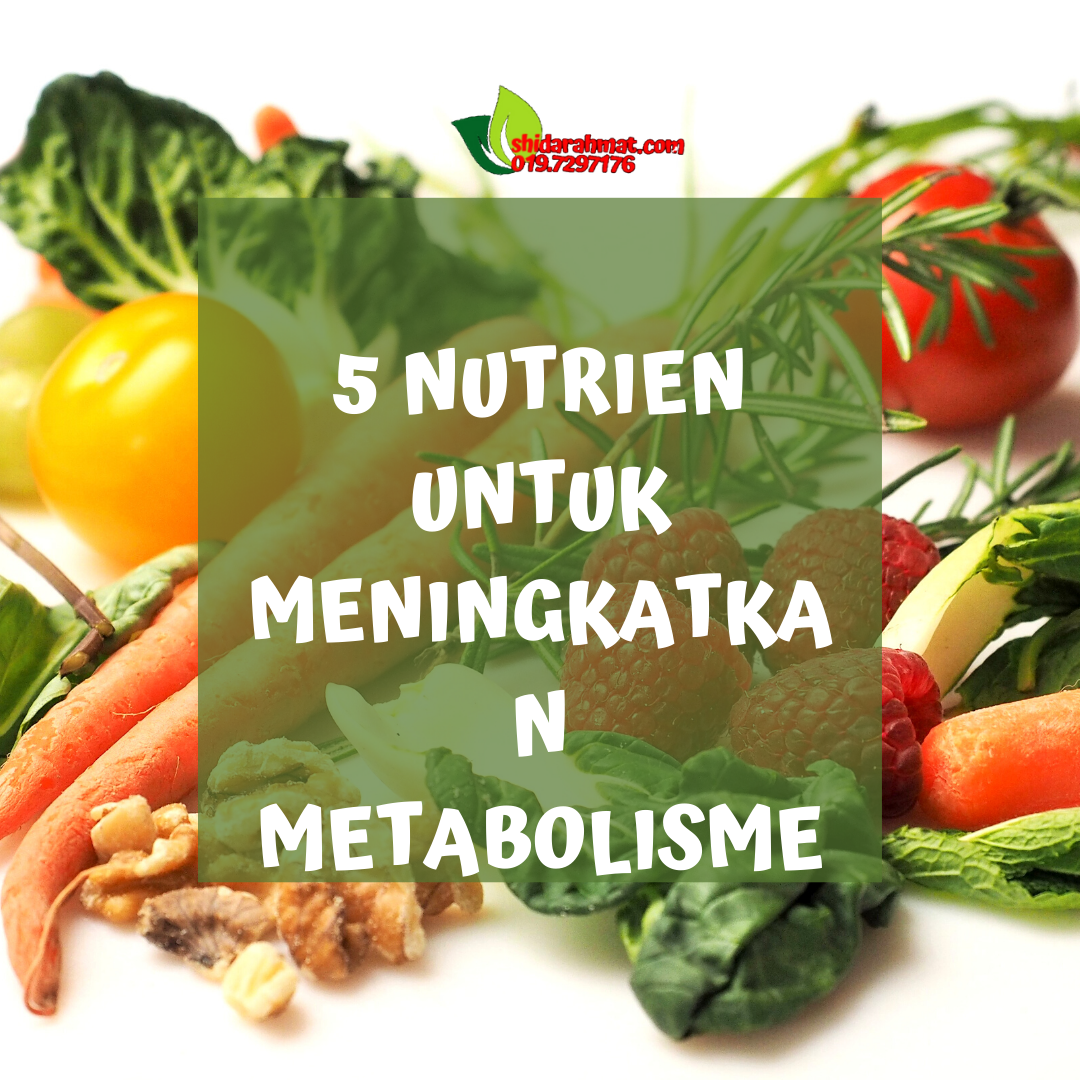 Makanan Terbaik Untuk Meningkatkan Metabolisme