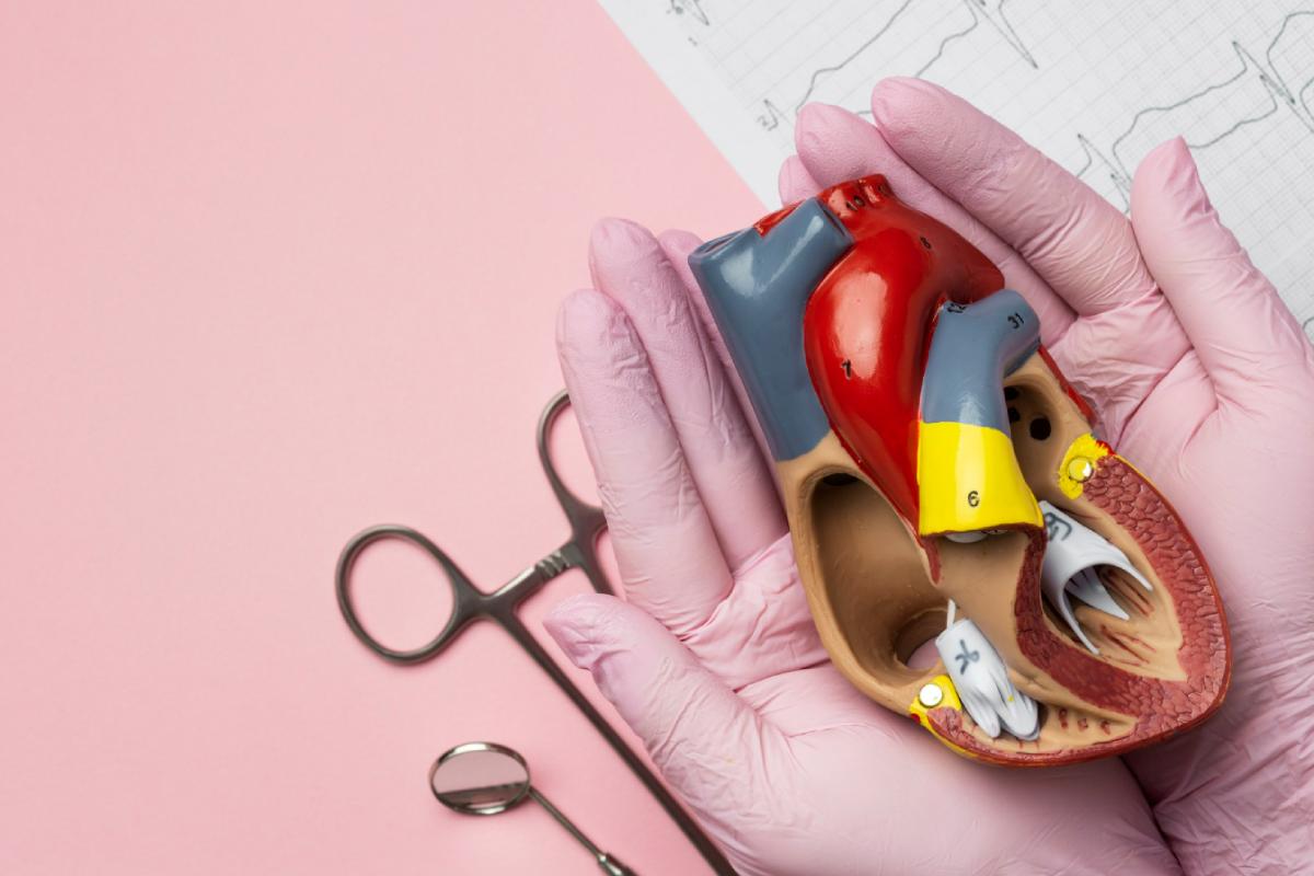 Cara Menjaga Kesehatan Jantung Dengan Pola Makan