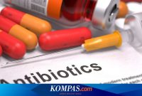 KESEHATAN ANAK: Memahami Penggunaan Antibiotik Pada Anak