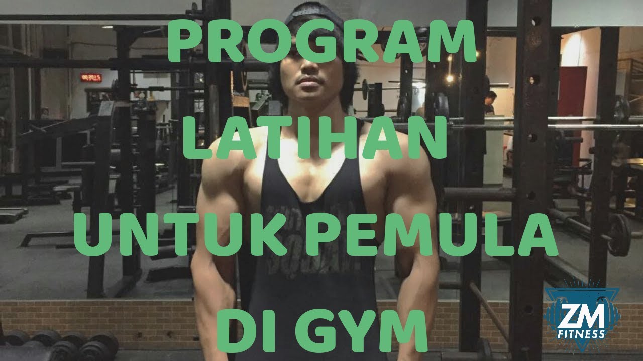 Latihan Kekuatan Untuk Wanita Pemula Di Gym