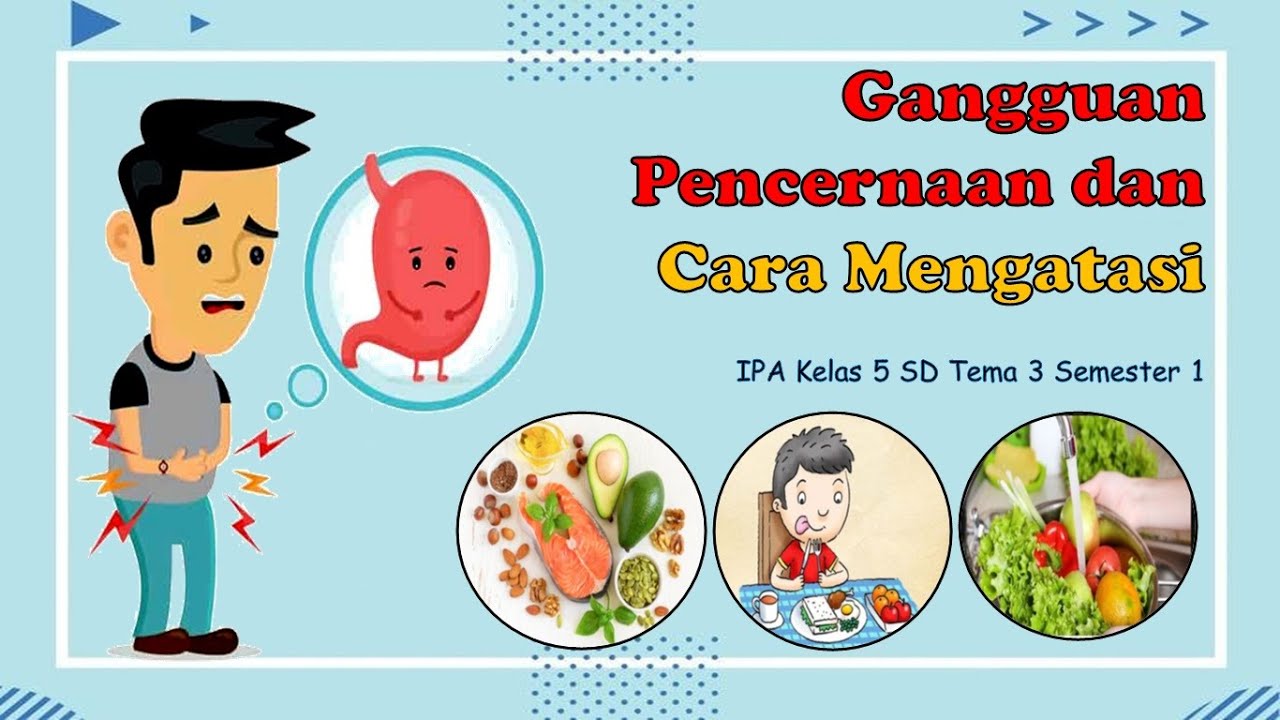 Tips Menjaga Kesehatan Sistem Pencernaan dengan Kebiasaan Sehari-hari ...