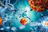 Informasi Tentang Penyakit Autoimun