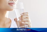 Apa Saja Manfaat Air Putih Bagi Program Diet Dan Kesehatan